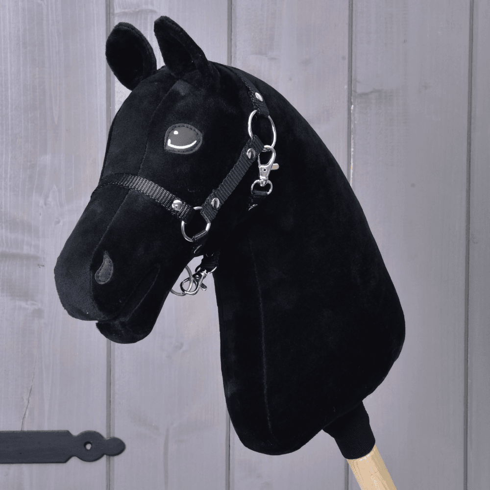 Build your horse